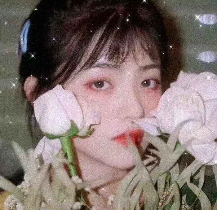 朽木第三季
