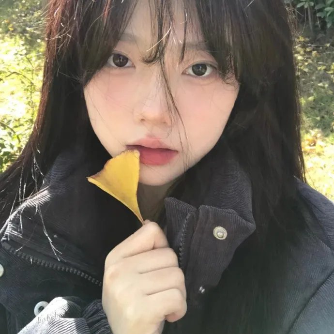 人+性大不同：荷兰德国篇