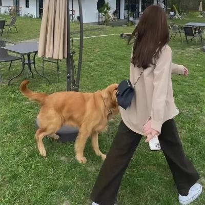 玛格丽特